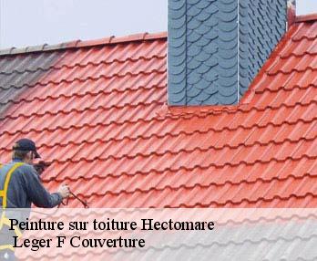 Peinture sur toiture 27110