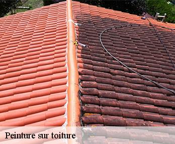 Peinture sur toiture