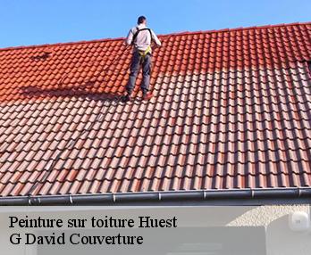 Peinture sur toiture huest-27930 G David Couverture