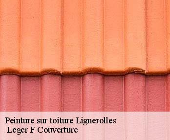 Peinture sur toiture