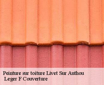 Peinture sur toiture