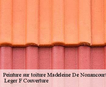 Peinture sur toiture