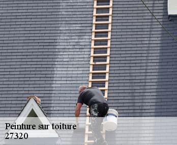 Peinture sur toiture