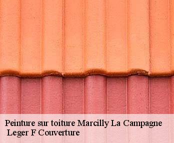 Peinture sur toiture
