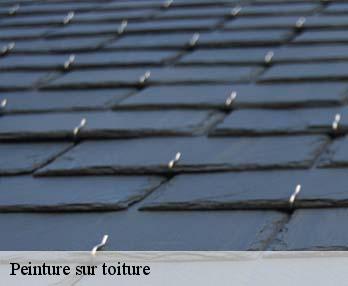 Peinture sur toiture
