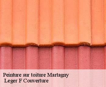 Peinture sur toiture