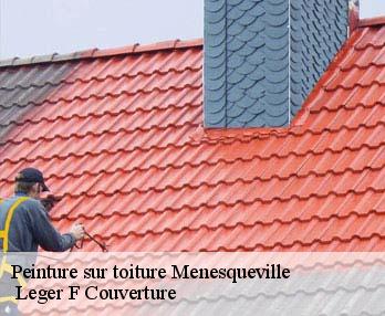 Peinture sur toiture 27850