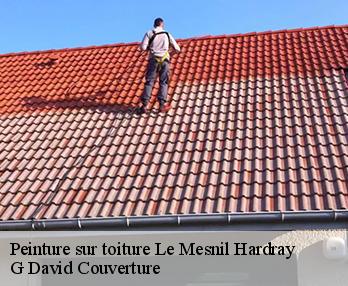 Peinture sur toiture  le-mesnil-hardray-27190 G David Couverture