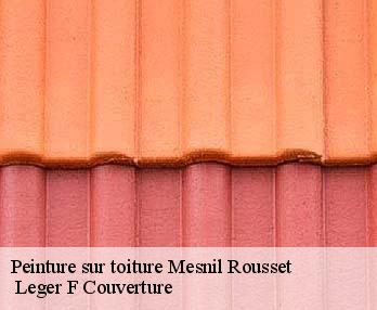 Peinture sur toiture