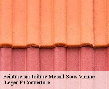 Peinture sur toiture
