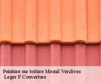 Peinture sur toiture