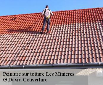 Peinture sur toiture les-minieres-27240 G David Couverture