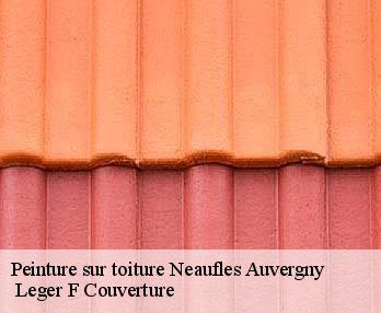 Peinture sur toiture