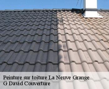Peinture sur toiture