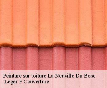 Peinture sur toiture