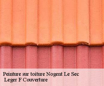 Peinture sur toiture