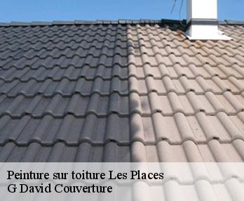 Peinture sur toiture