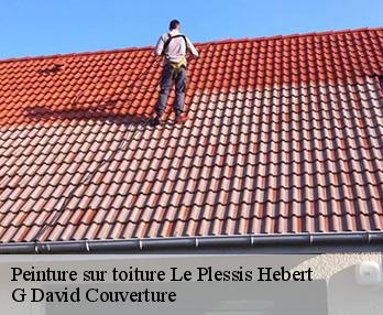 Peinture sur toiture le-plessis-hebert-27120 G David Couverture
