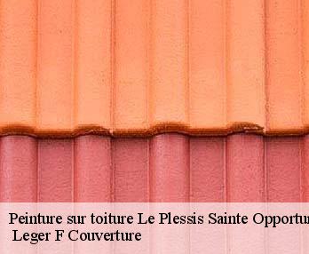 Peinture sur toiture