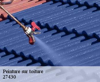 Peinture sur toiture  27430