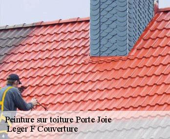 Peinture sur toiture  27430