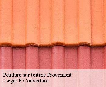 Peinture sur toiture