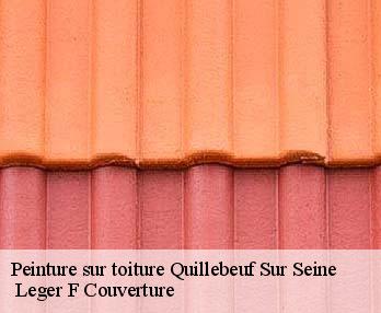 Peinture sur toiture