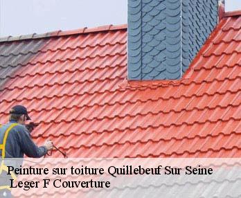 Peinture sur toiture 27680