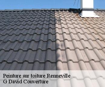 Peinture sur toiture