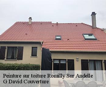 Peinture sur toiture 27610