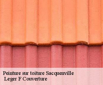 Peinture sur toiture