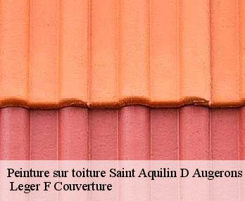 Peinture sur toiture