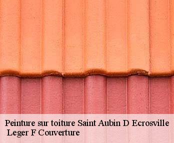 Peinture sur toiture