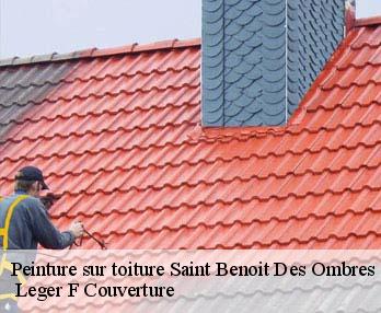 Peinture sur toiture  27450