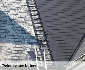 Peinture sur toiture  27450