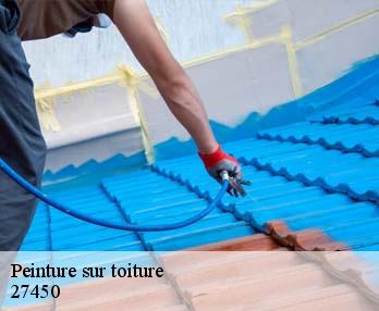 Peinture sur toiture  27450