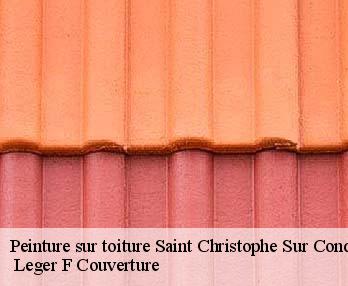 Peinture sur toiture