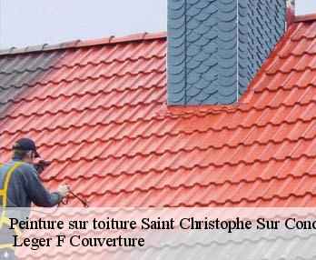 Peinture sur toiture 27450