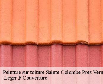 Peinture sur toiture