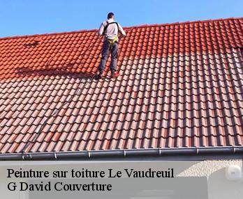 Peinture sur toiture le-vaudreuil-27100 G David Couverture