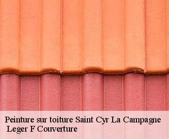 Peinture sur toiture