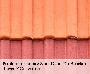 Peinture sur toiture