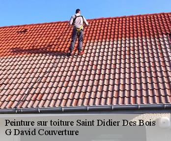 Peinture sur toiture  saint-didier-des-bois-27370 G David Couverture