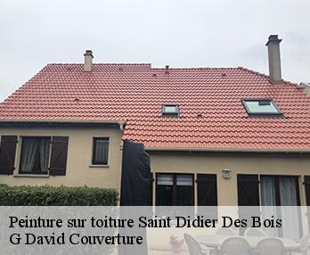 Peinture sur toiture  27370