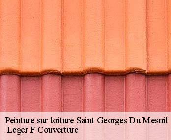 Peinture sur toiture