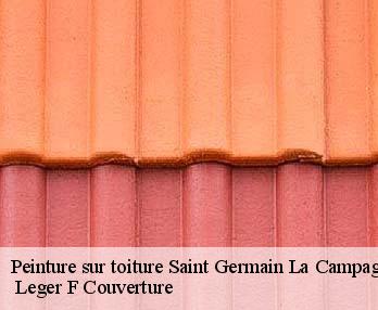 Peinture sur toiture