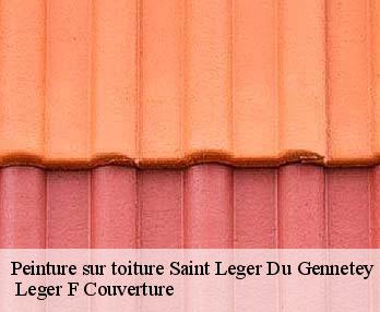 Peinture sur toiture