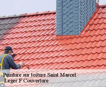 Peinture sur toiture 27950