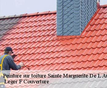 Peinture sur toiture 27160