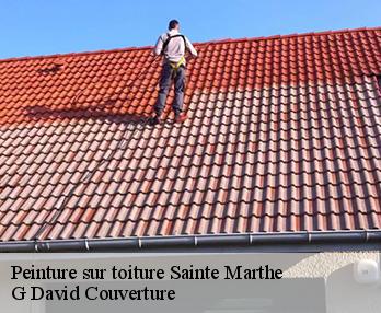 Peinture sur toiture sainte-marthe-27190 G David Couverture